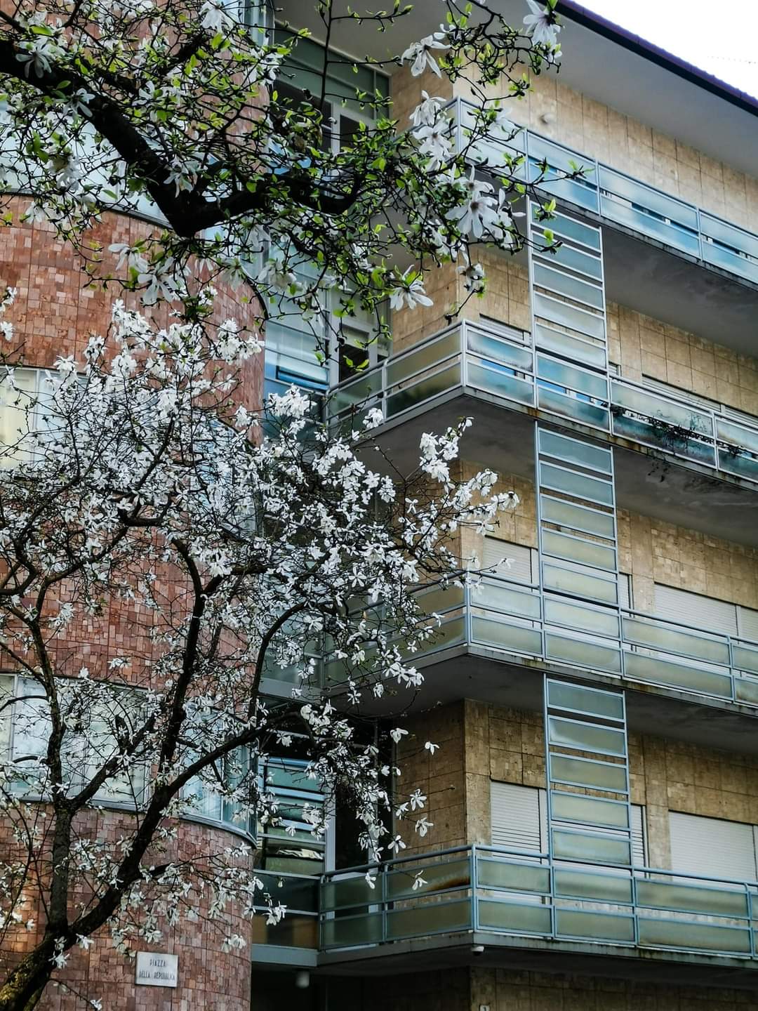 Palazzo Midena