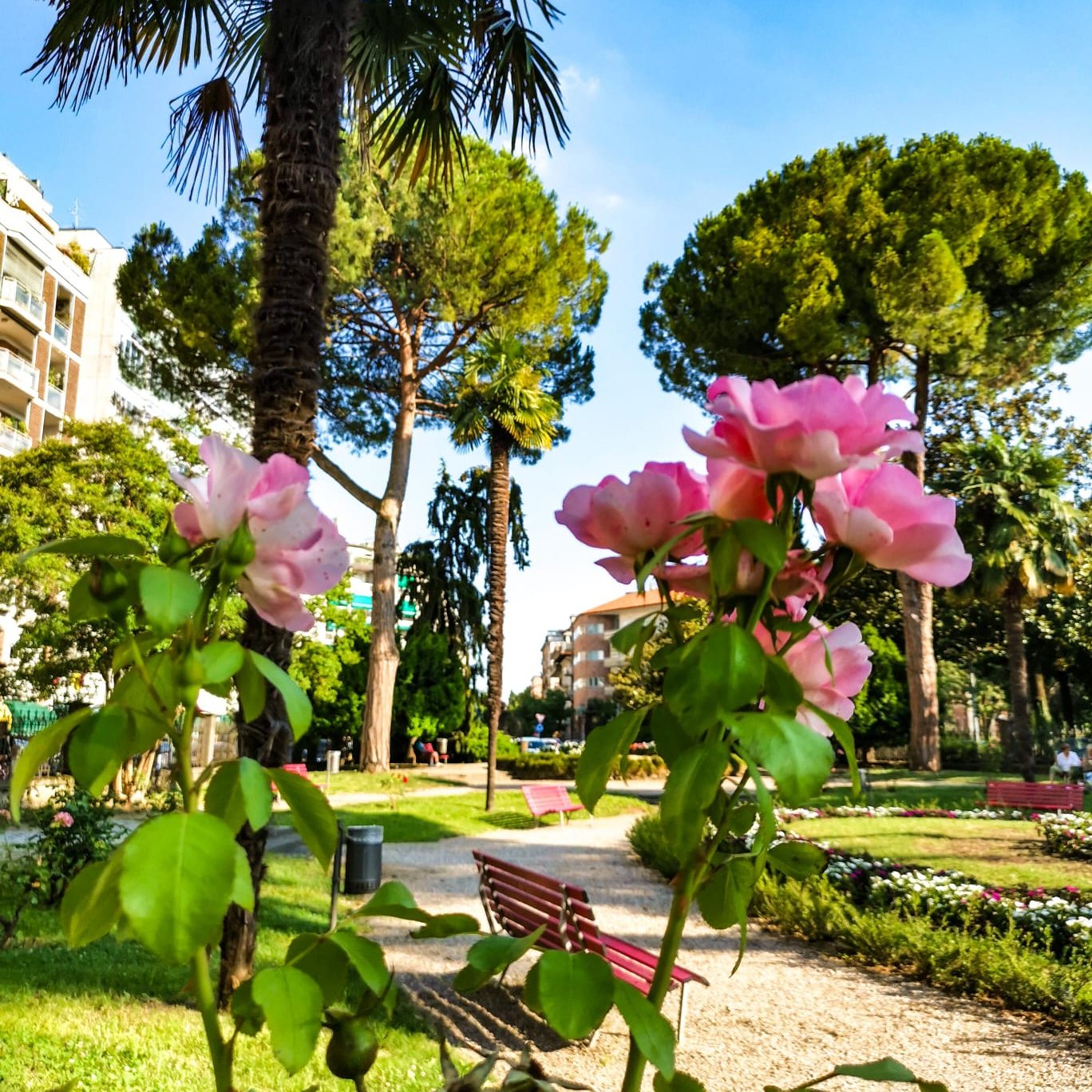 giardino pascoli giardino pascoli