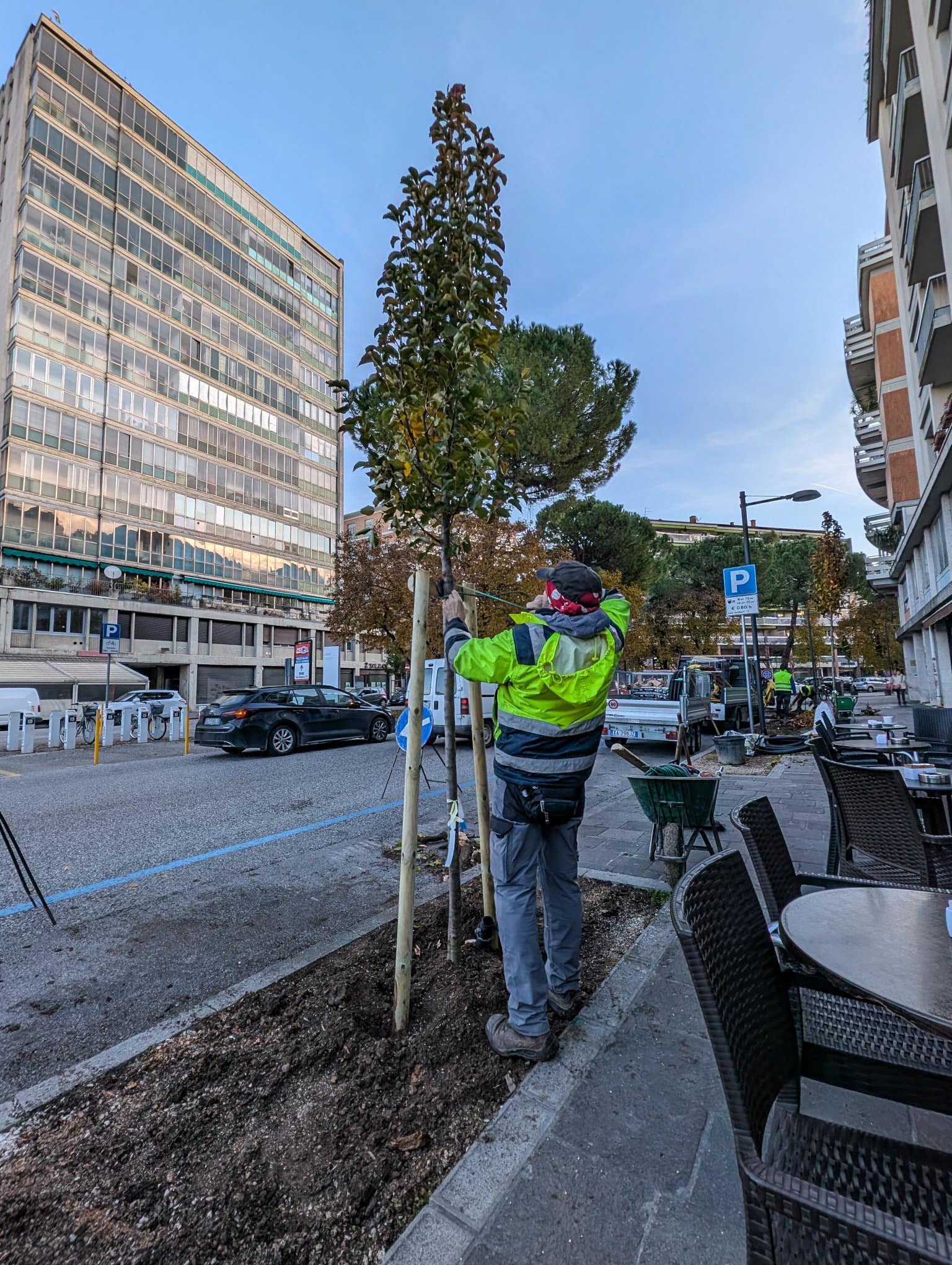 Nuovi alberi in via Leopardi