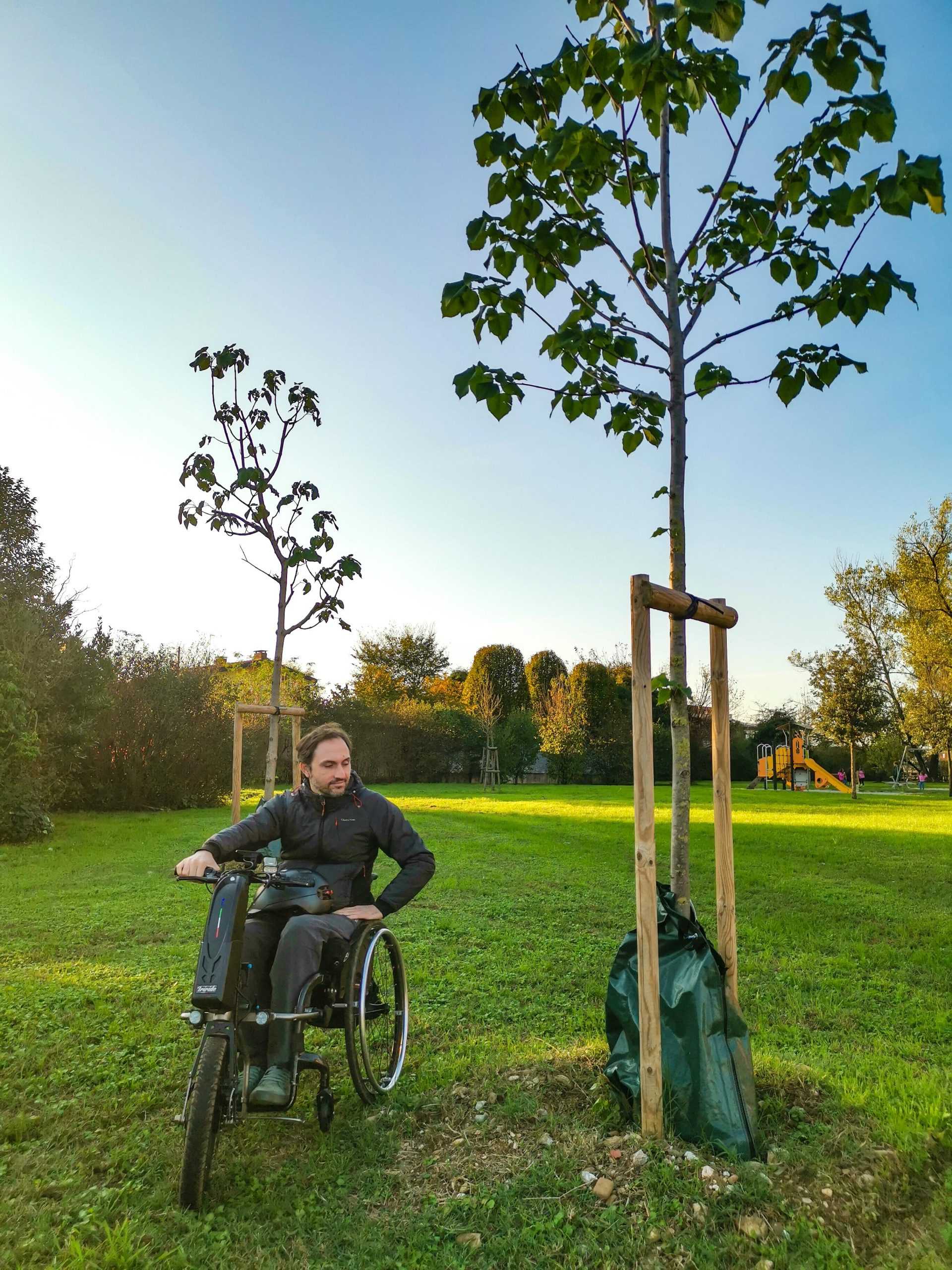nuovi-alberi-aree-verdi