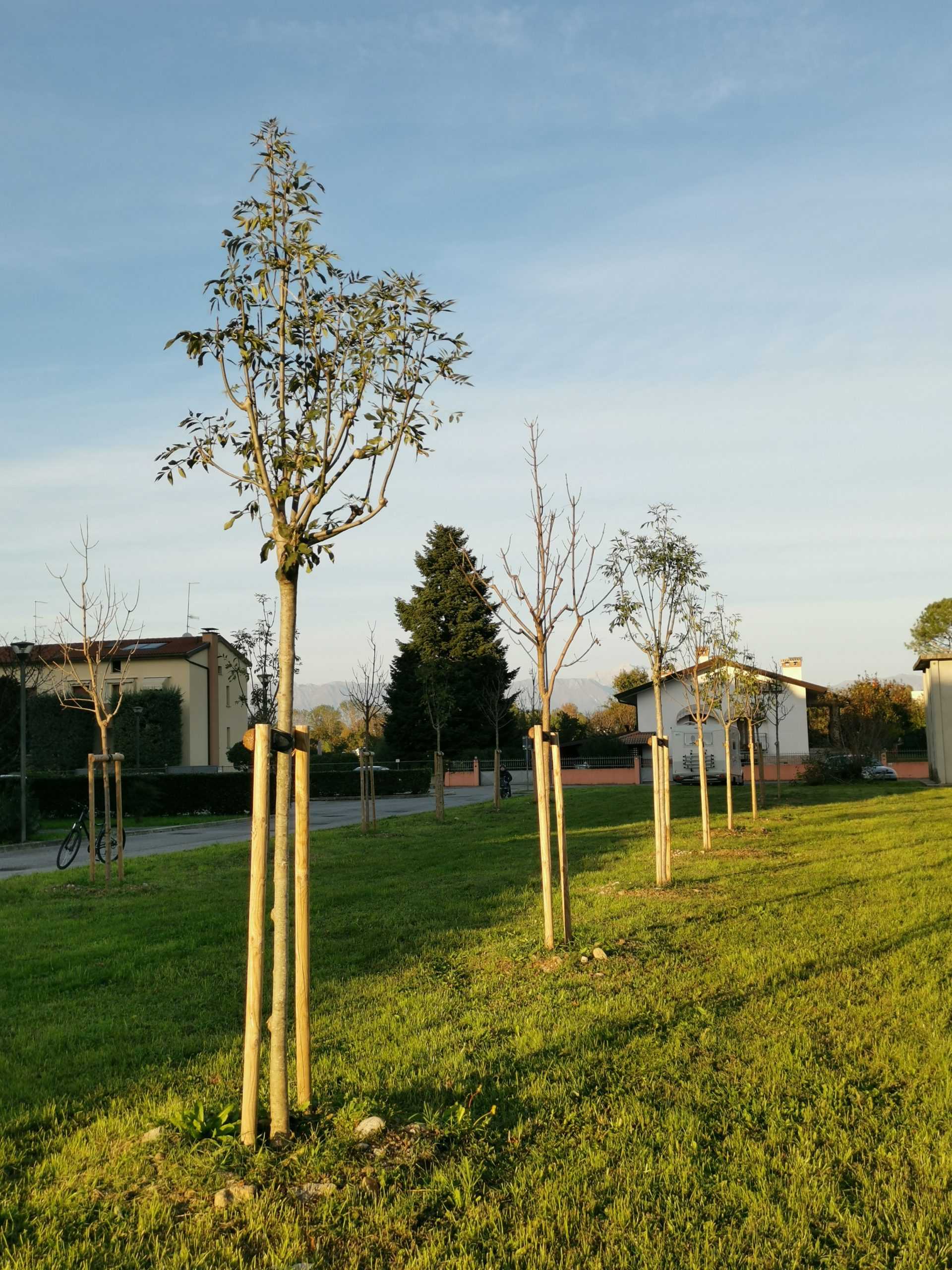 Area verde di Via Mantova Area verde di Via Mantova
