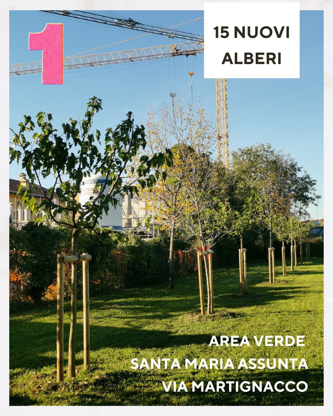 area verde santa maria assunta area verde santa maria assunta