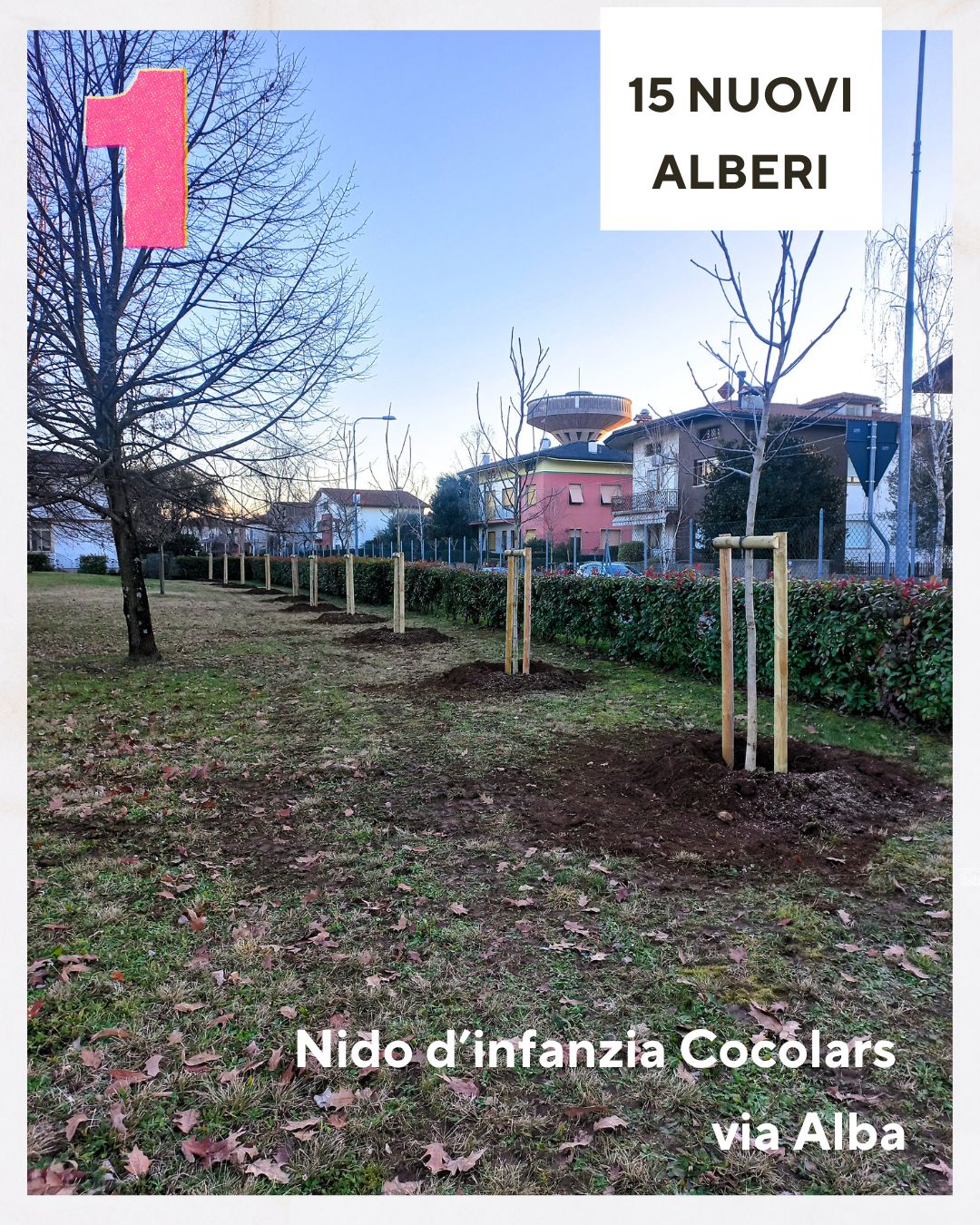 nuovi alberi nuovi alberi