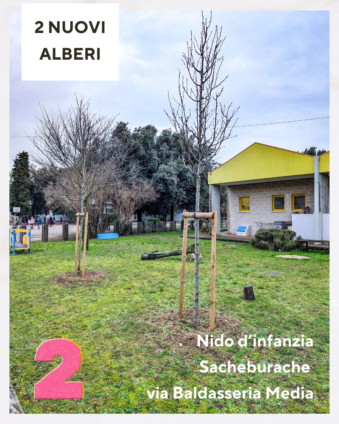 nuovi alberi nuovi alberi