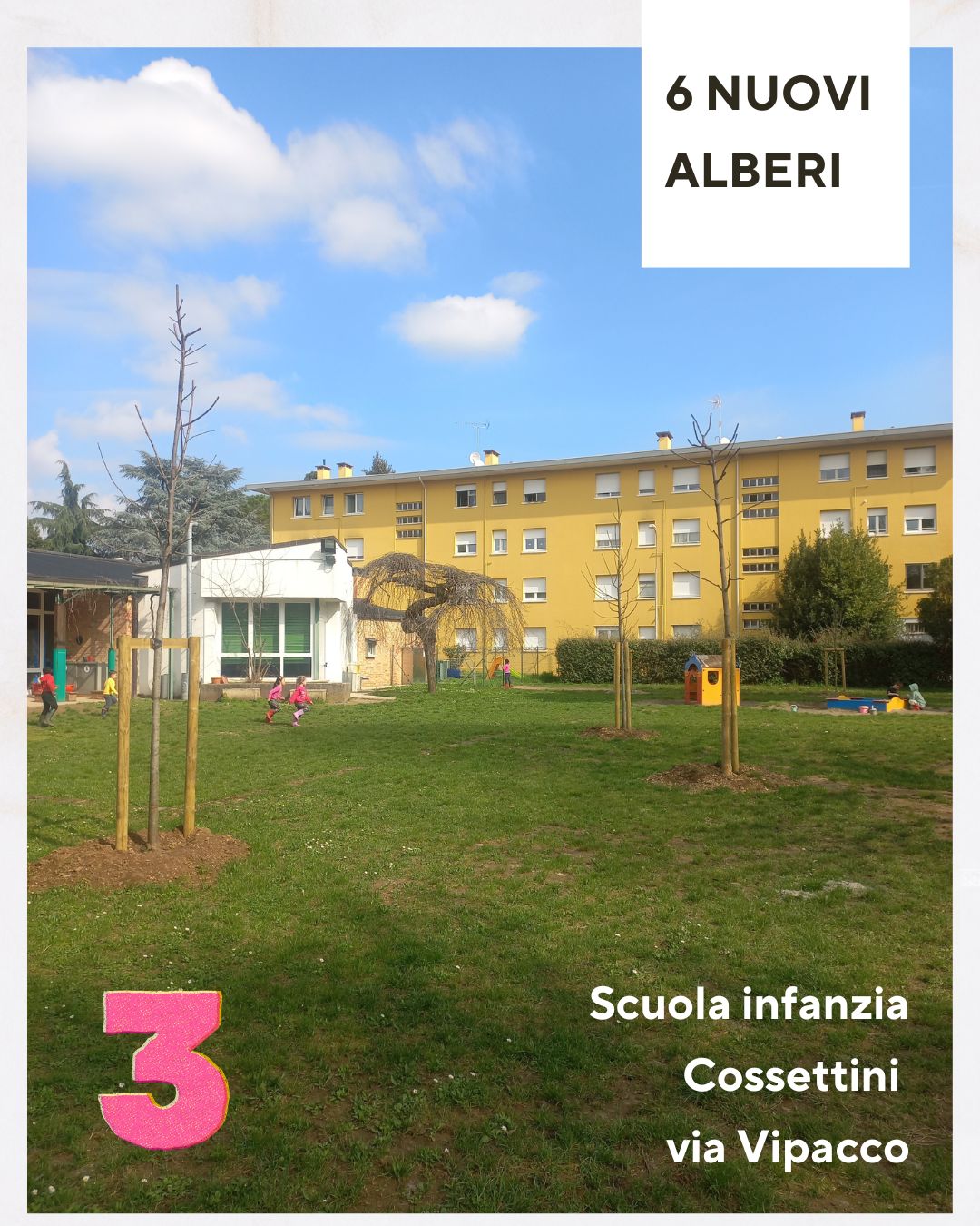 nuovi alberi nuovi alberi