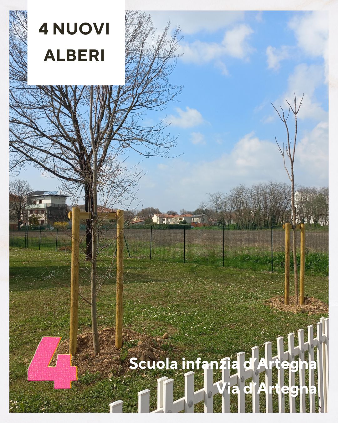 nuovi alberi nuovi alberi