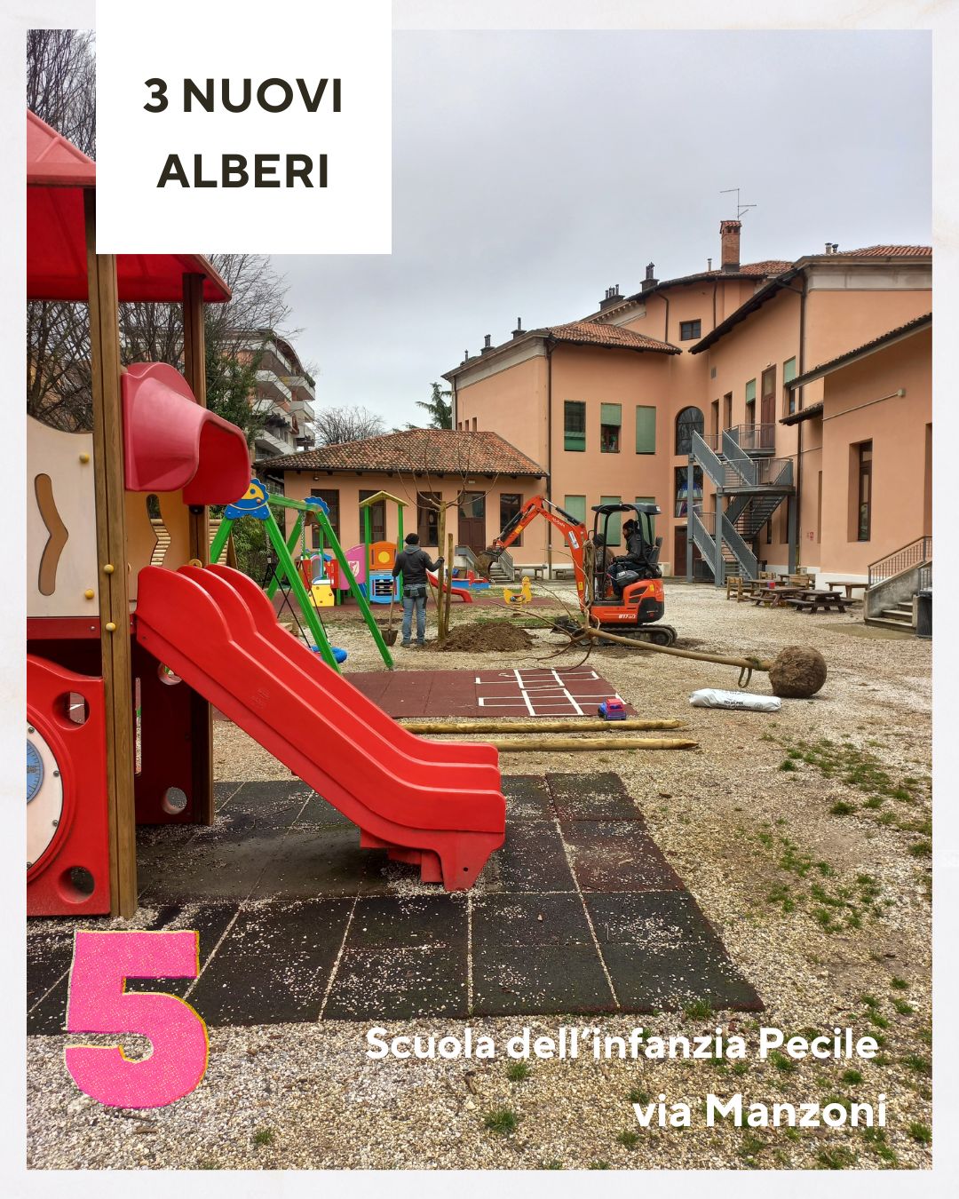 nuovi alberi nuovi alberi