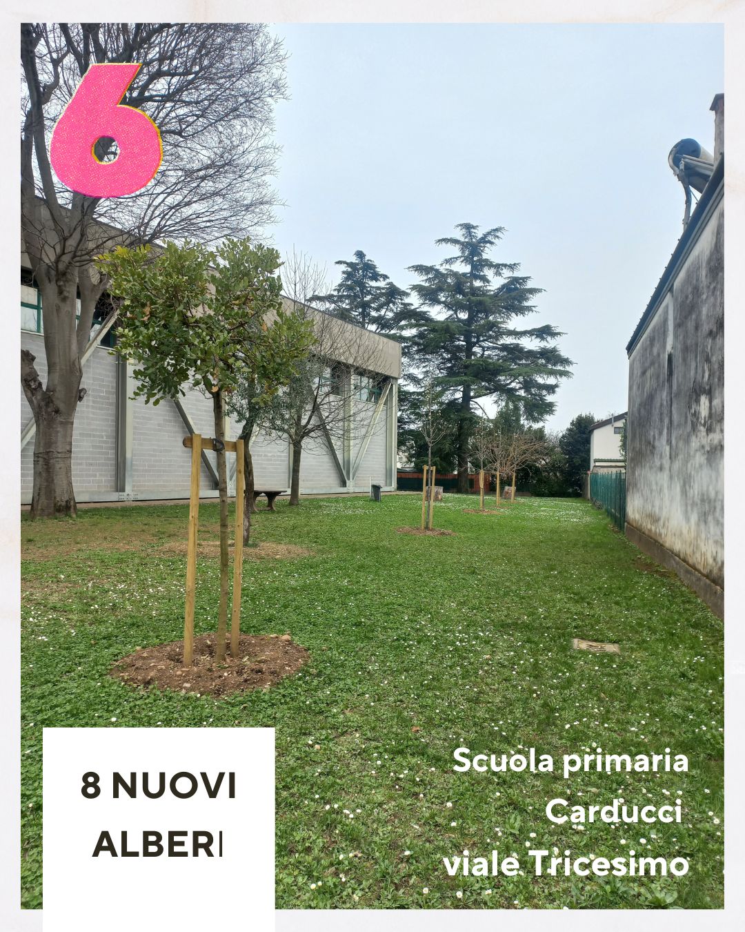 nuovi alberi nuovi alberi