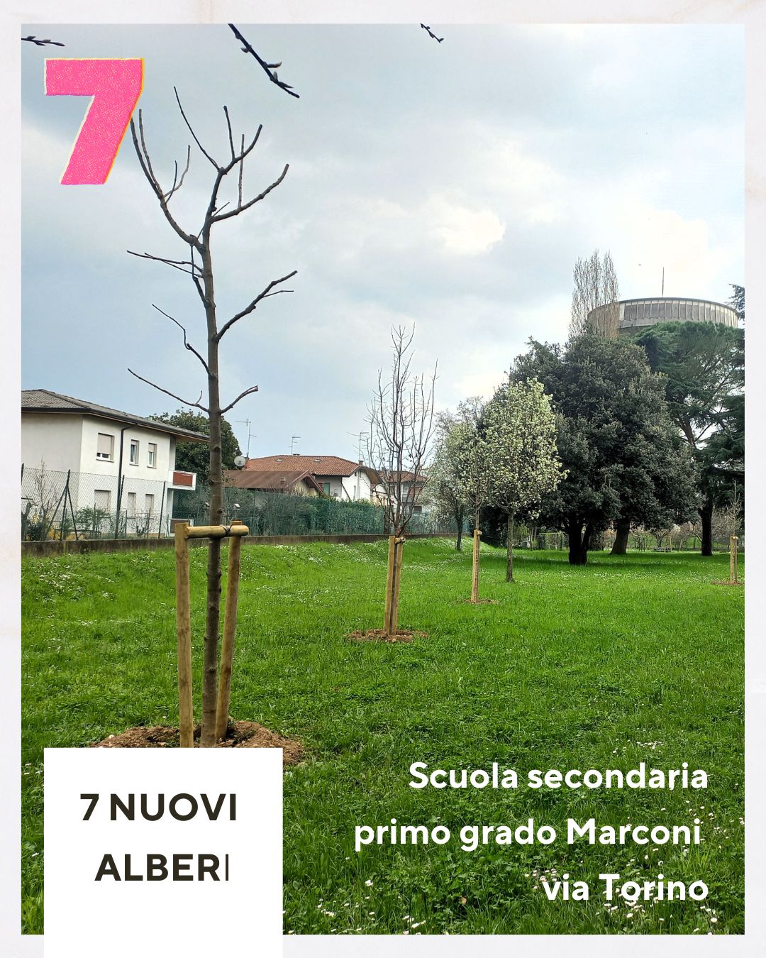 nuovi alberi nuovi alberi