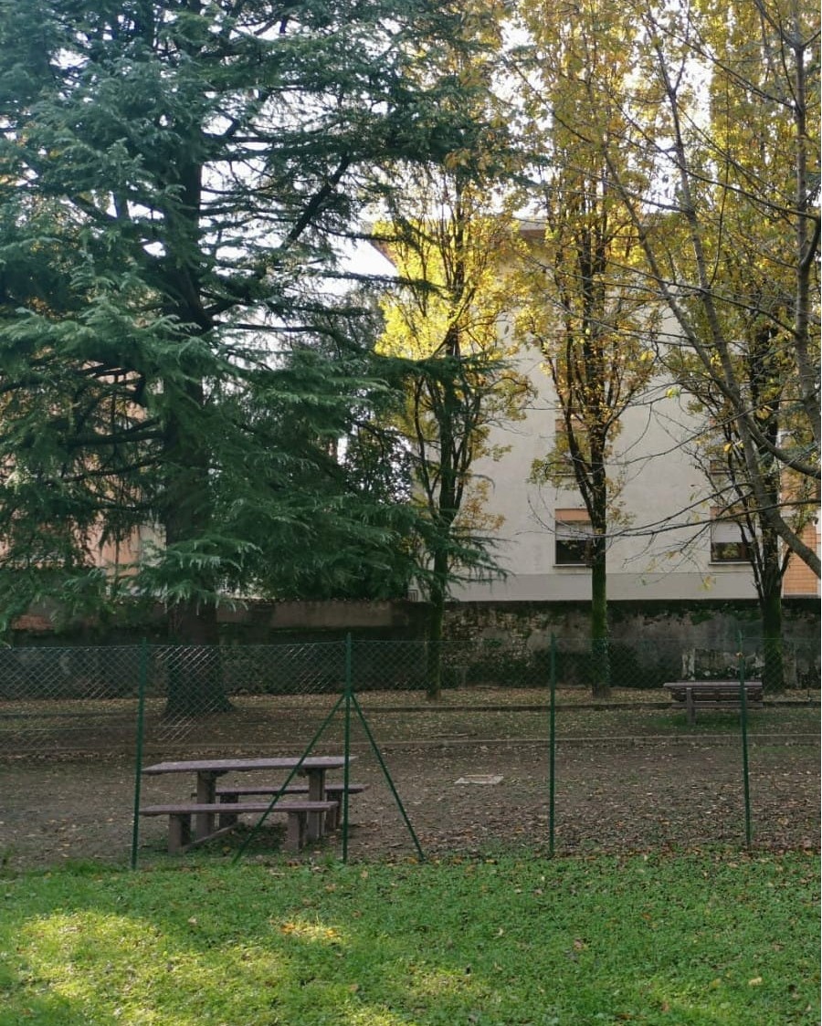 Nuove sedute per l'area cani del Parco Ambrosoli Nuove sedute per l'area cani del Parco Ambrosoli