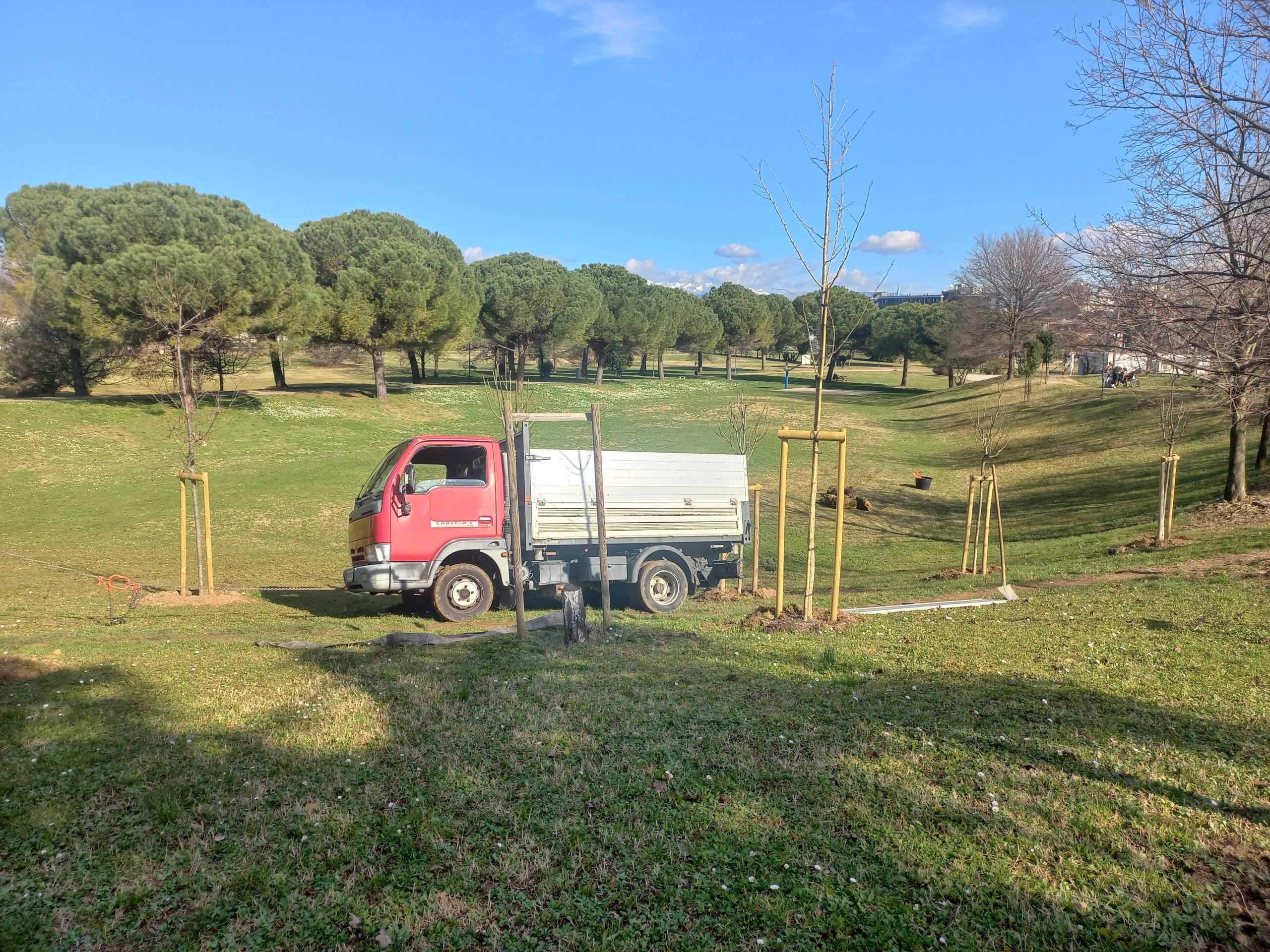 Nuovi alberi al Parco Moretti