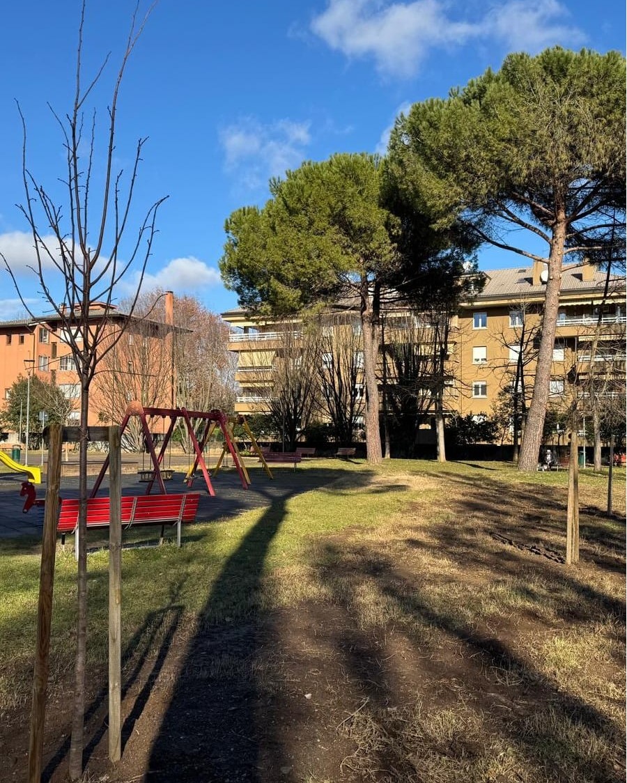 Nuovi tigli al Parco Brun Nuovi tigli al Parco Brun