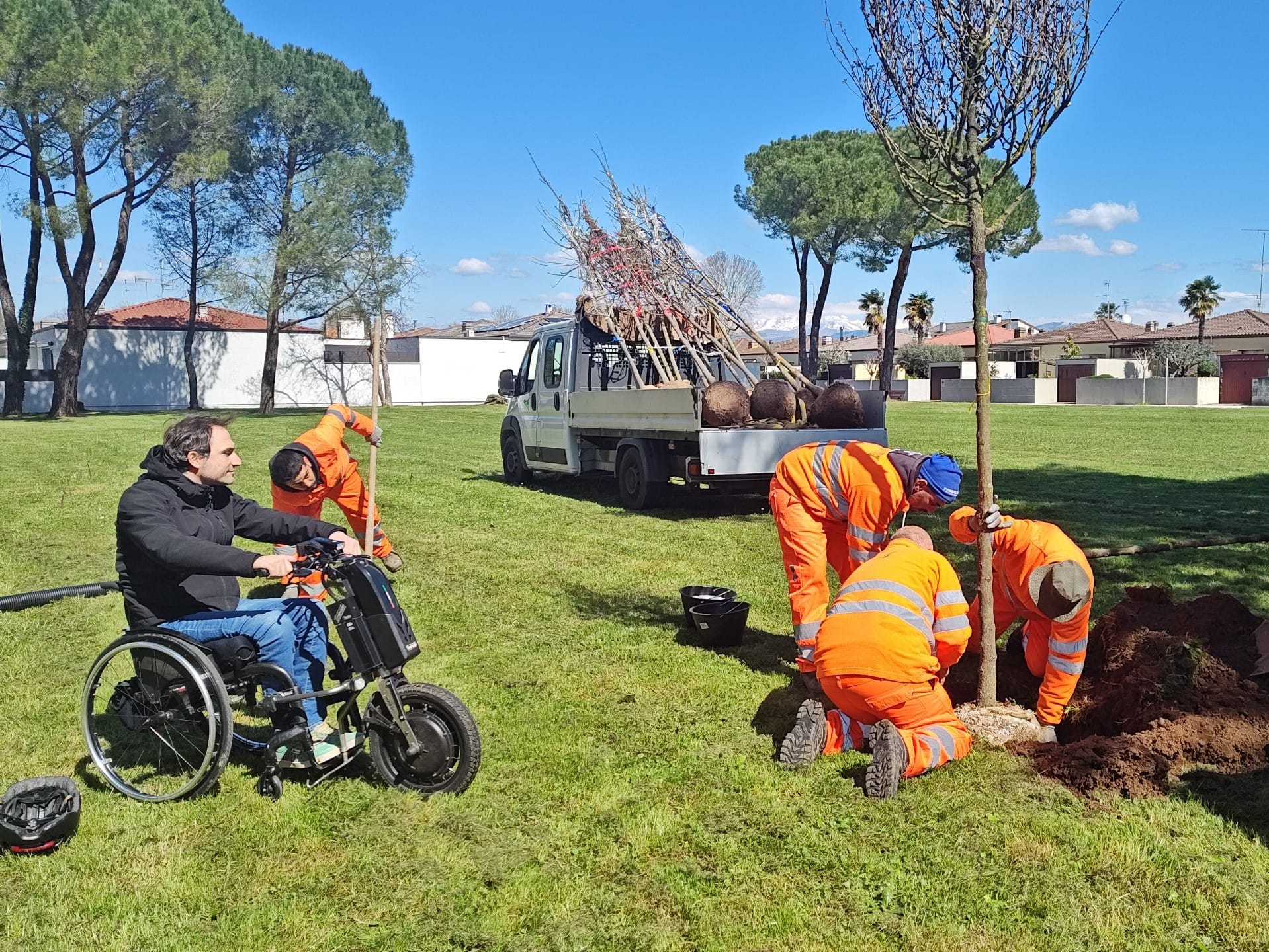 nuovi 800 alberi