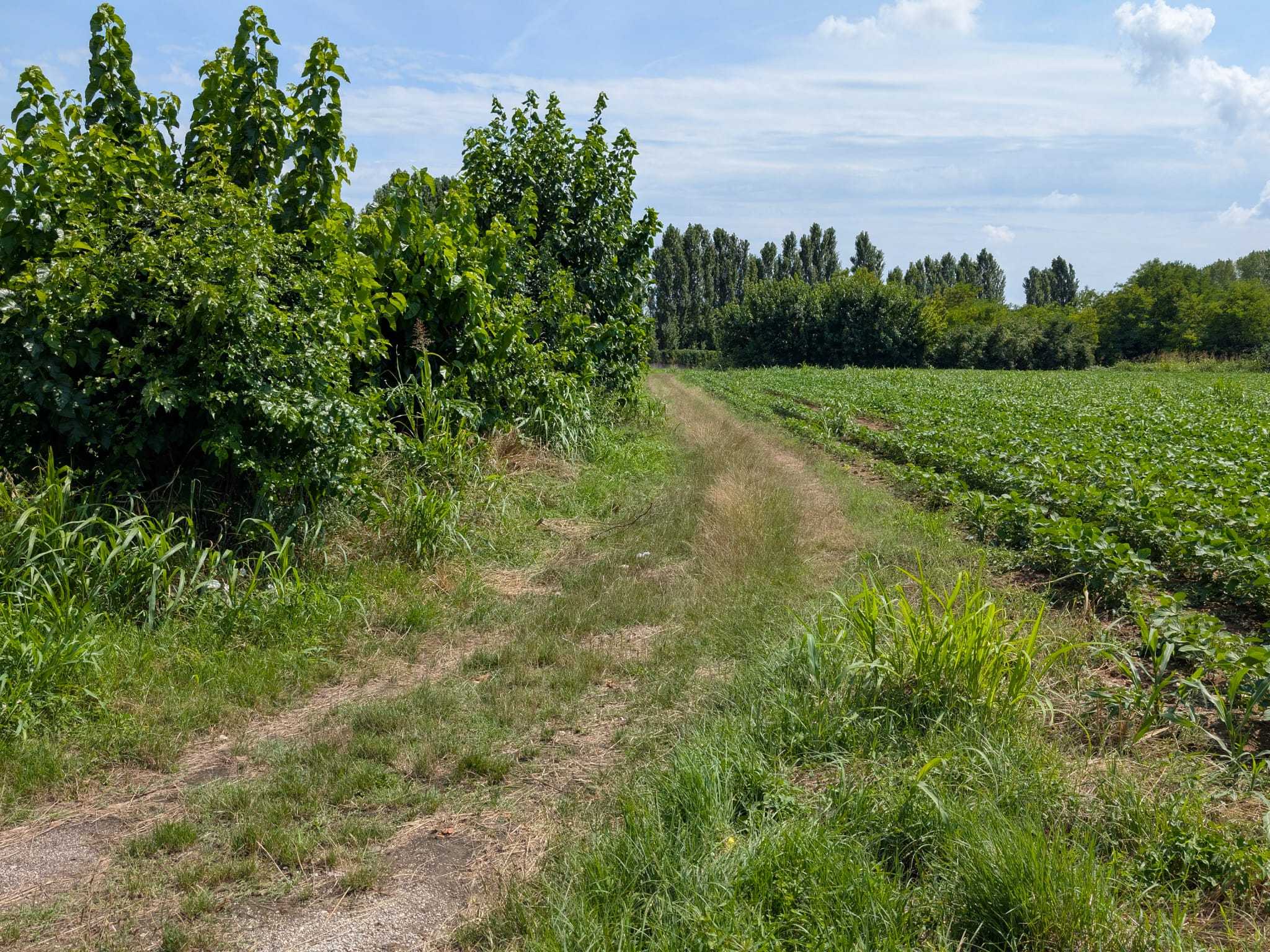 ciclabile sud 5 ciclabile sud