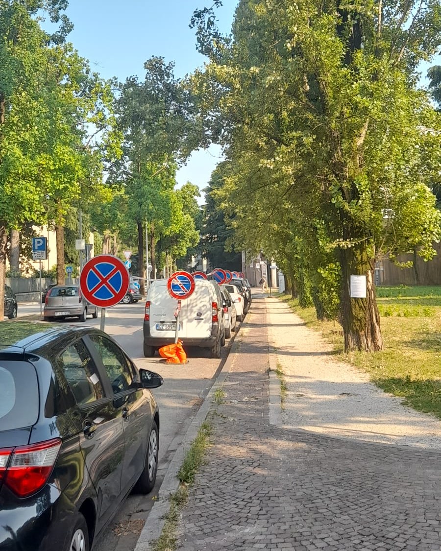 viale ungheria alberi 1