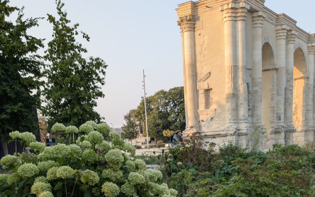 Quale verde per gli spazi urbani