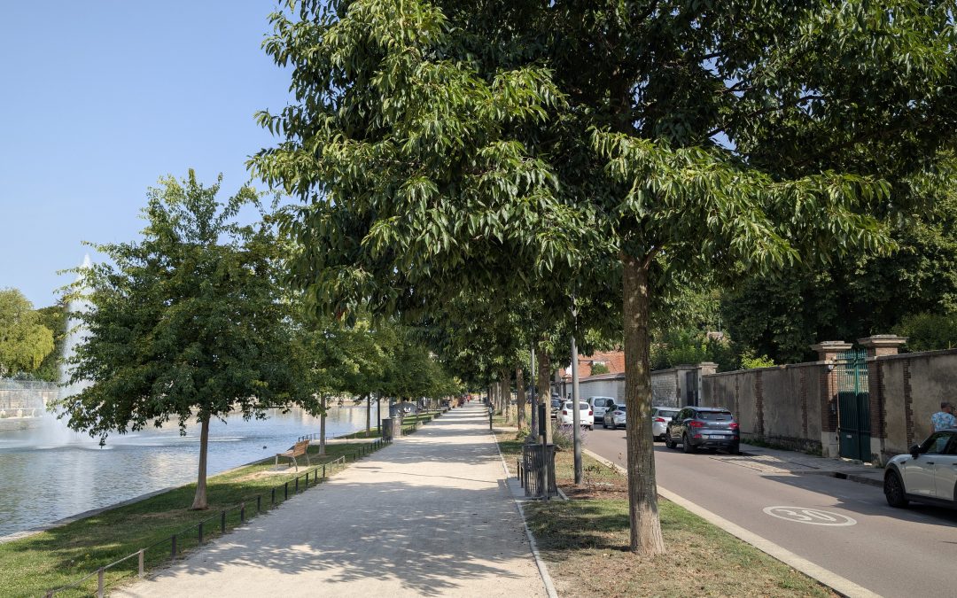 Come riqualificare un viale di ingresso al centro storico