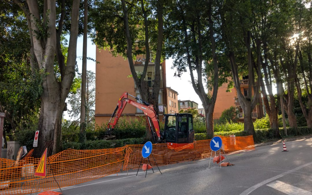 Depavimentazione: iniziati i lavori in via Patriarca Dolfin