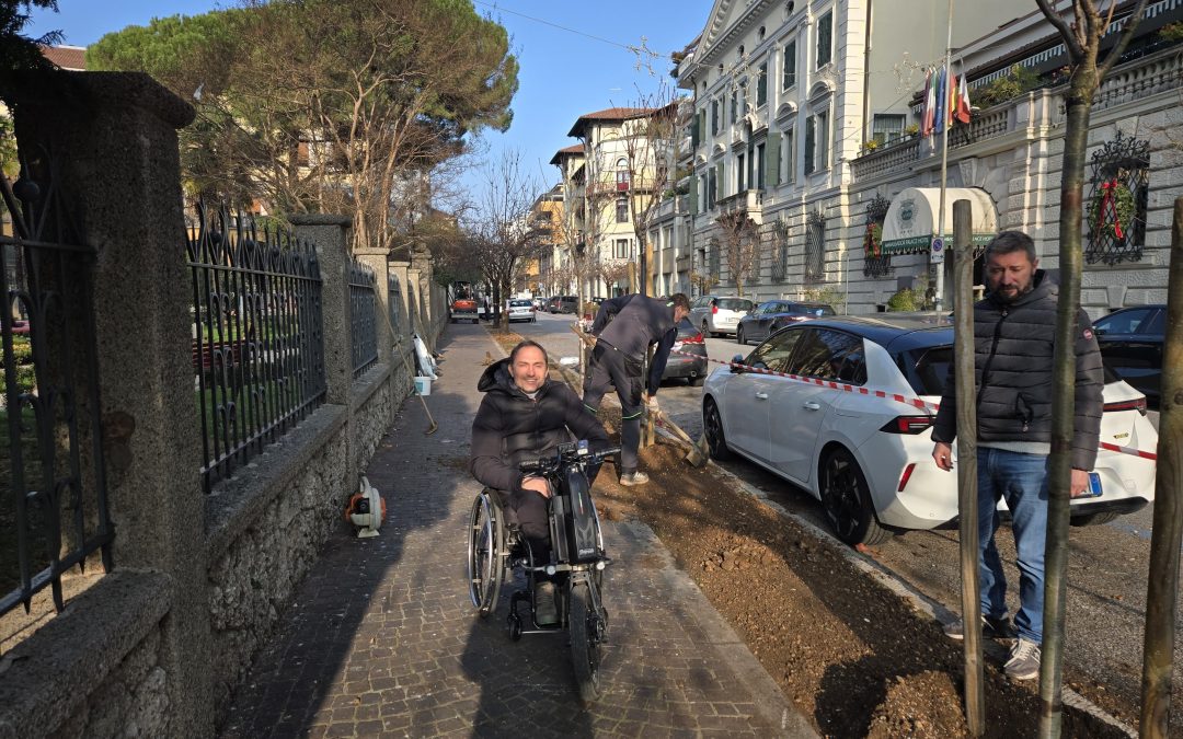 46 nuovi alberi per via Carducci
