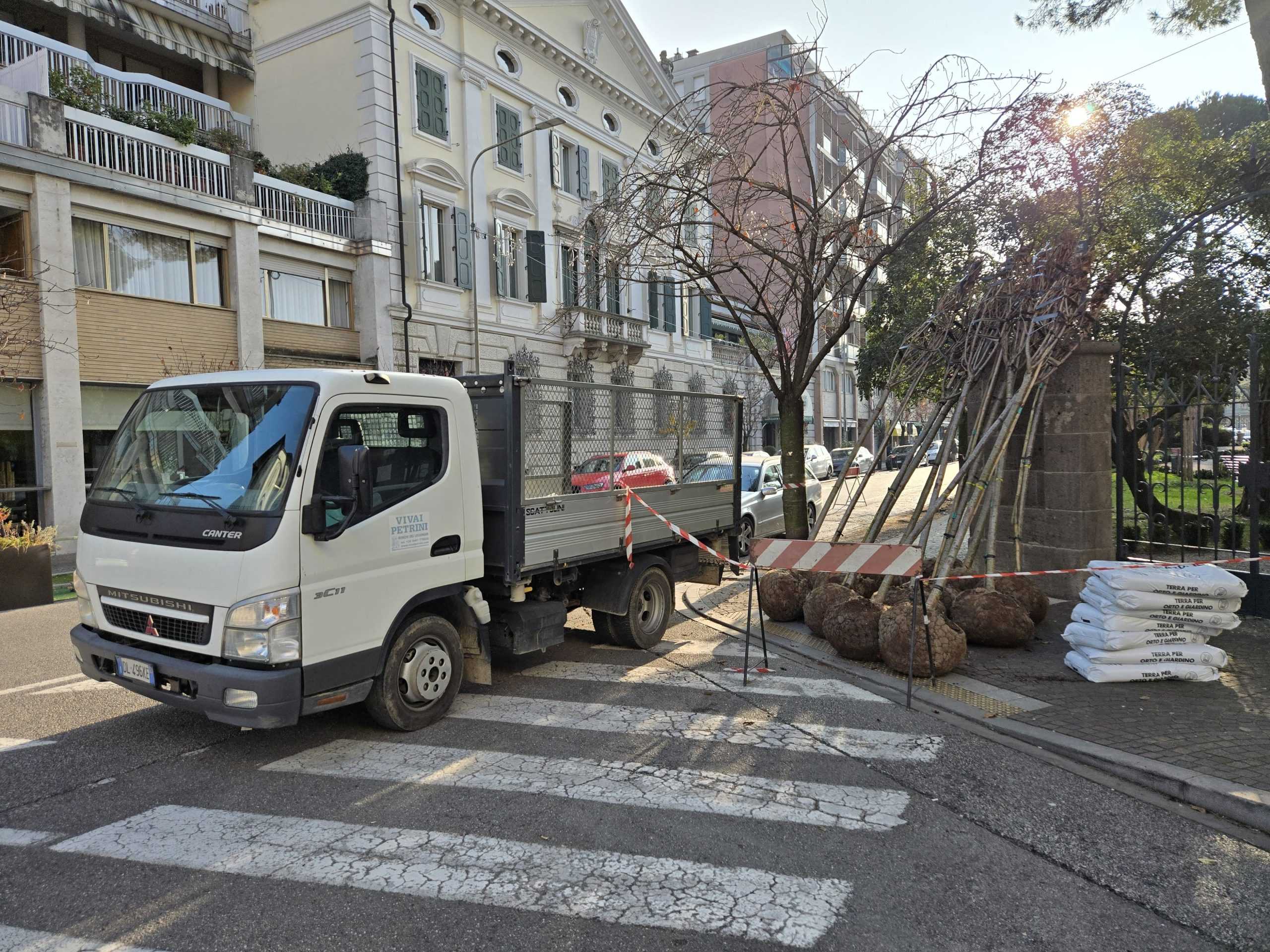 La piantumazione dei nuovi alberi in via Carducci La piantumazione dei nuovi alberi in via Carducci