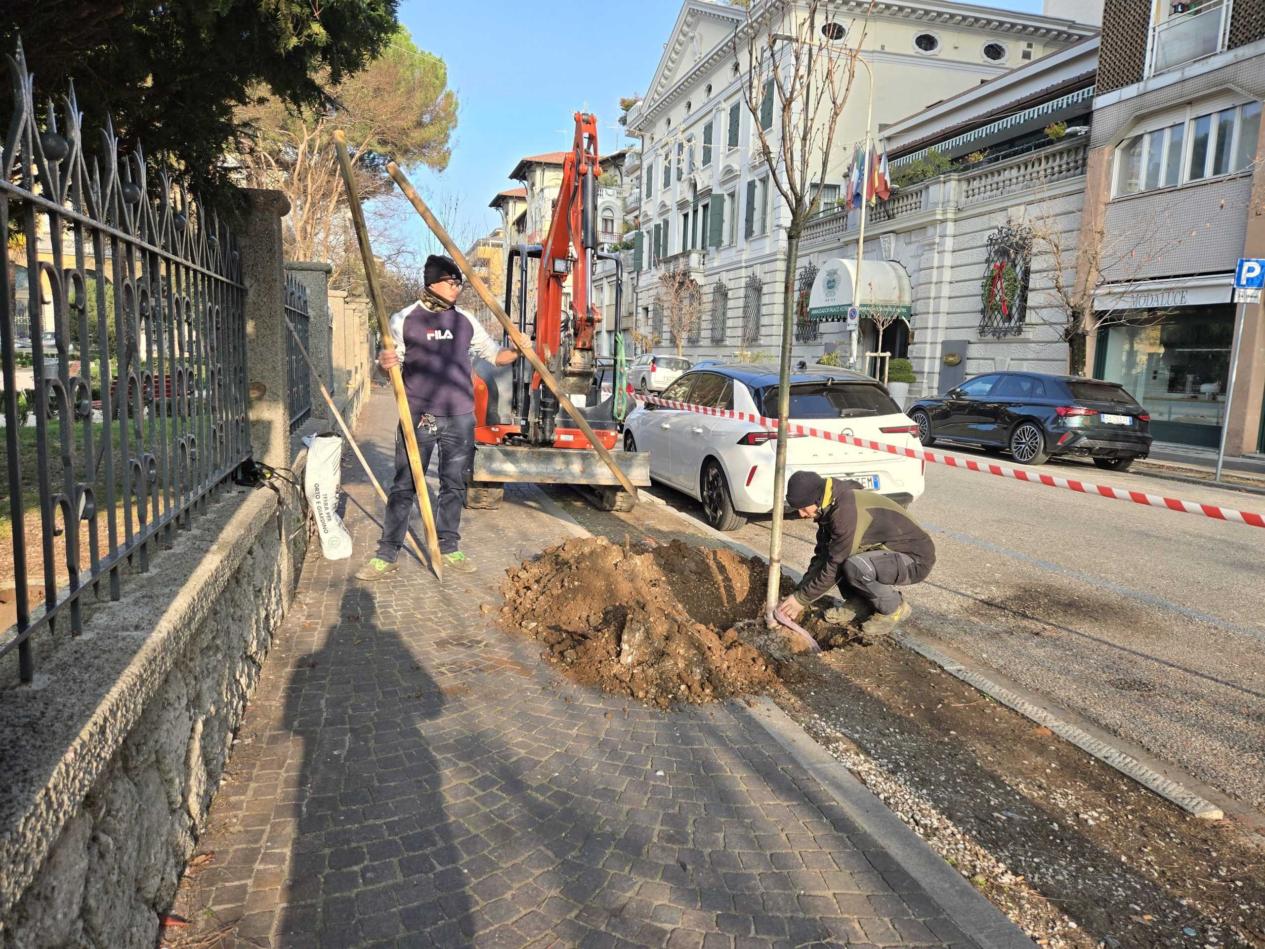 La piantumazione dei nuovi alberi in via Carducci La piantumazione dei nuovi alberi in via Carducci