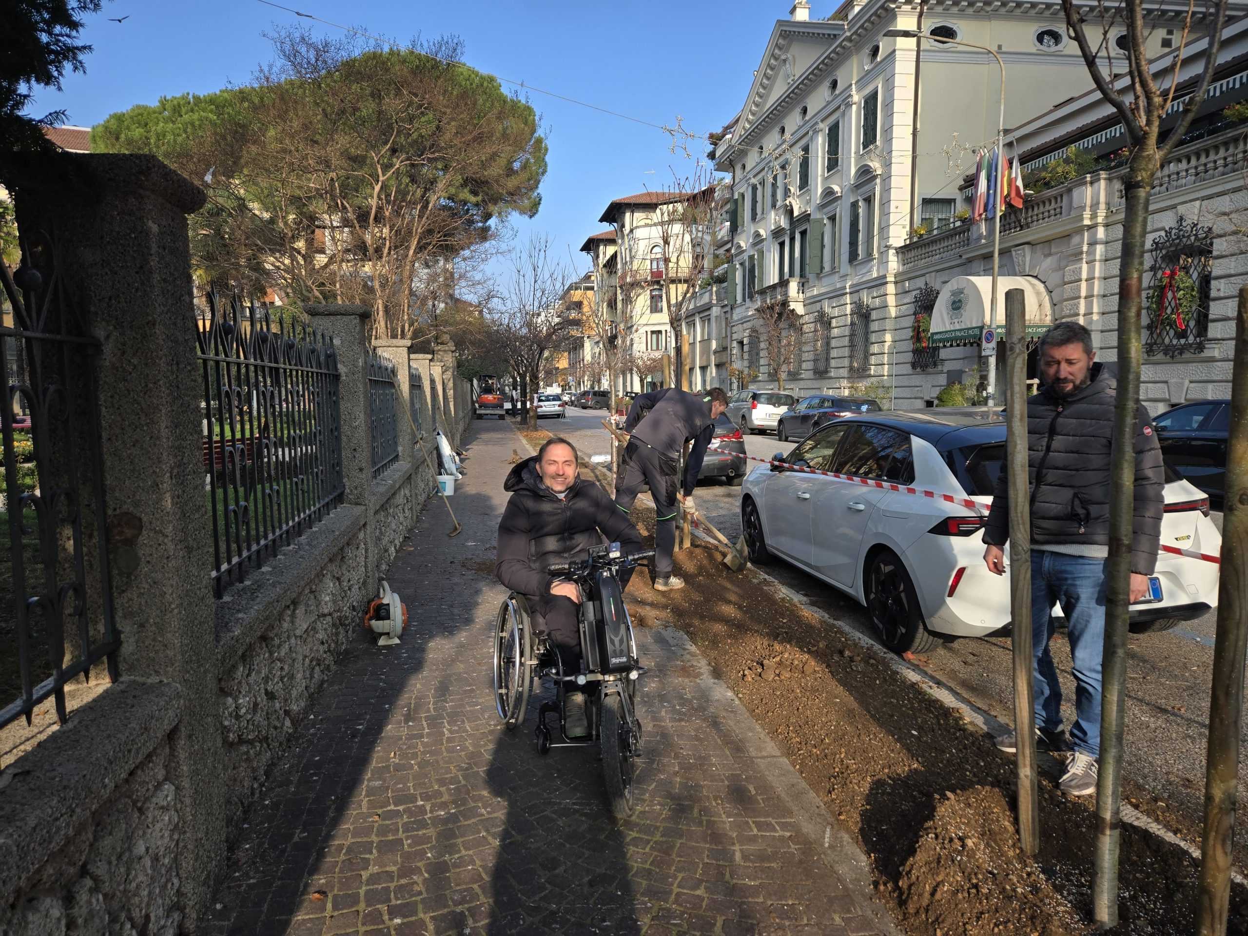 nuovi alberi via carducci