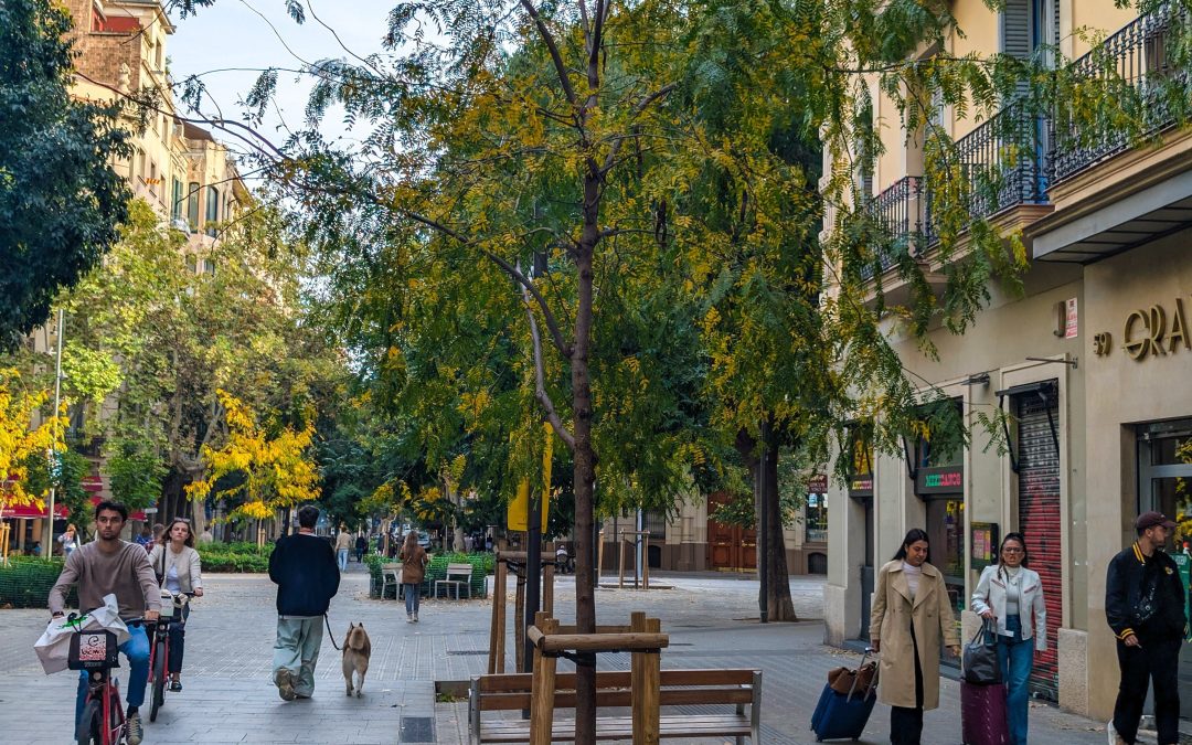 Le superilles di Barcellona: la trasformazione dei quartieri
