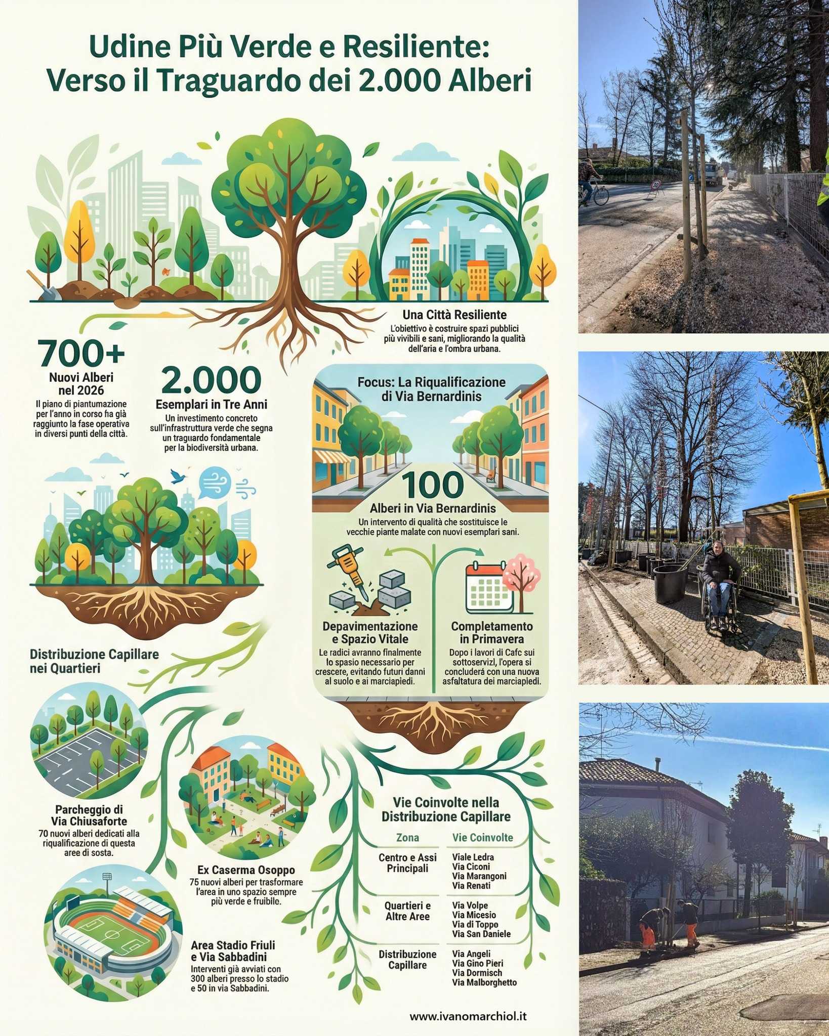 nuovi alberi 2026