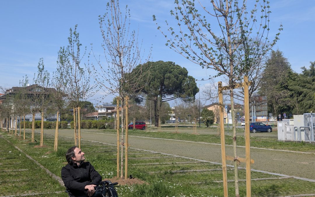 La Udine verde continua a crescere: 757 nuovi alberi piantumati nel 2026