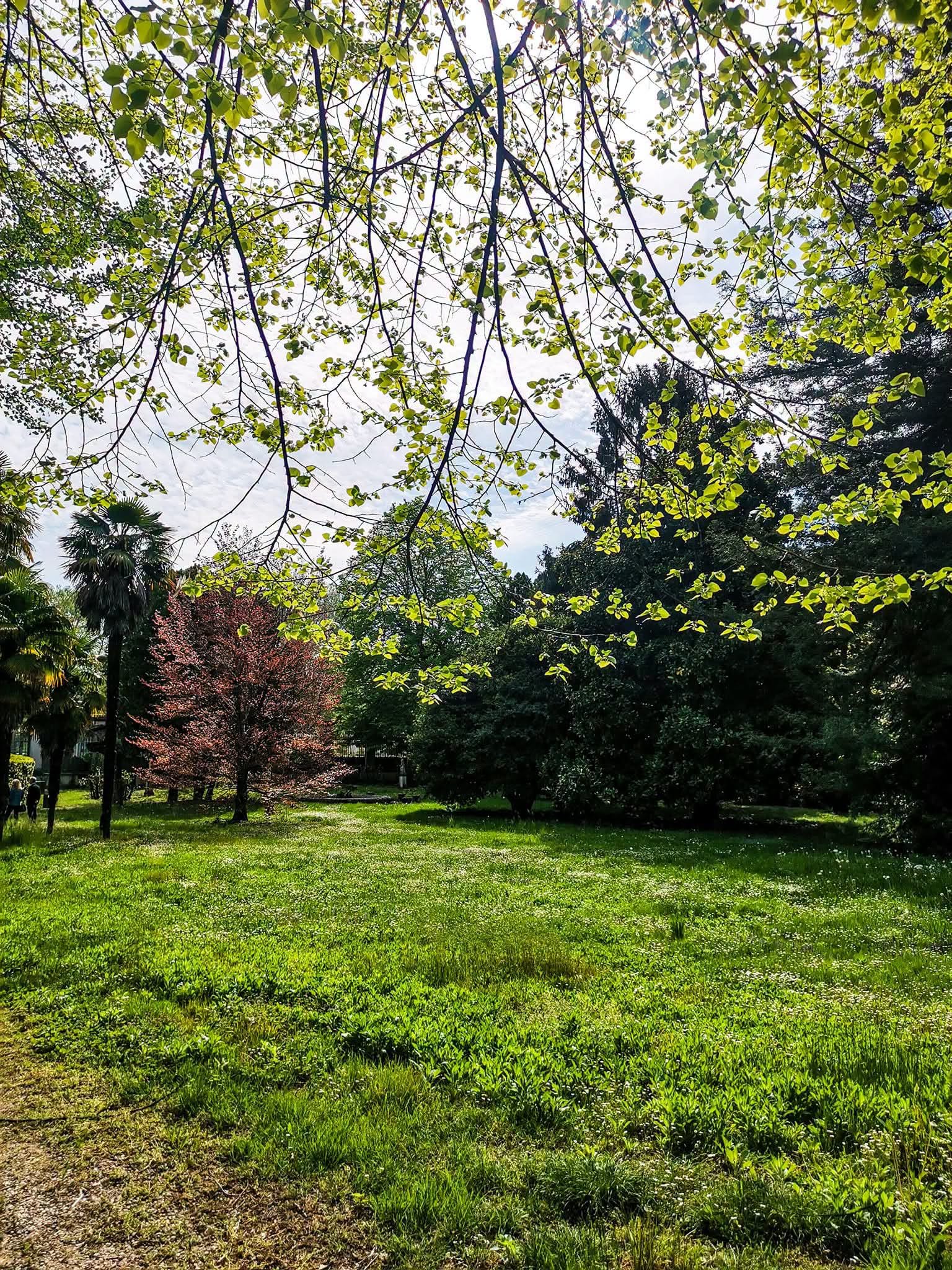 Parco Antonini Maseri 7 Parco Antonini Maseri